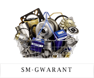 Automatyzacja firmy SM-Gwarant Sp. z o.o.